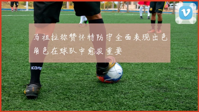 马祖拉称赞怀特防守全面表现出色角色在球队中愈发重要